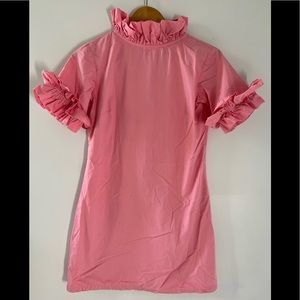 Elizabeth Wilson Nancy Jane Shift in Pink XS